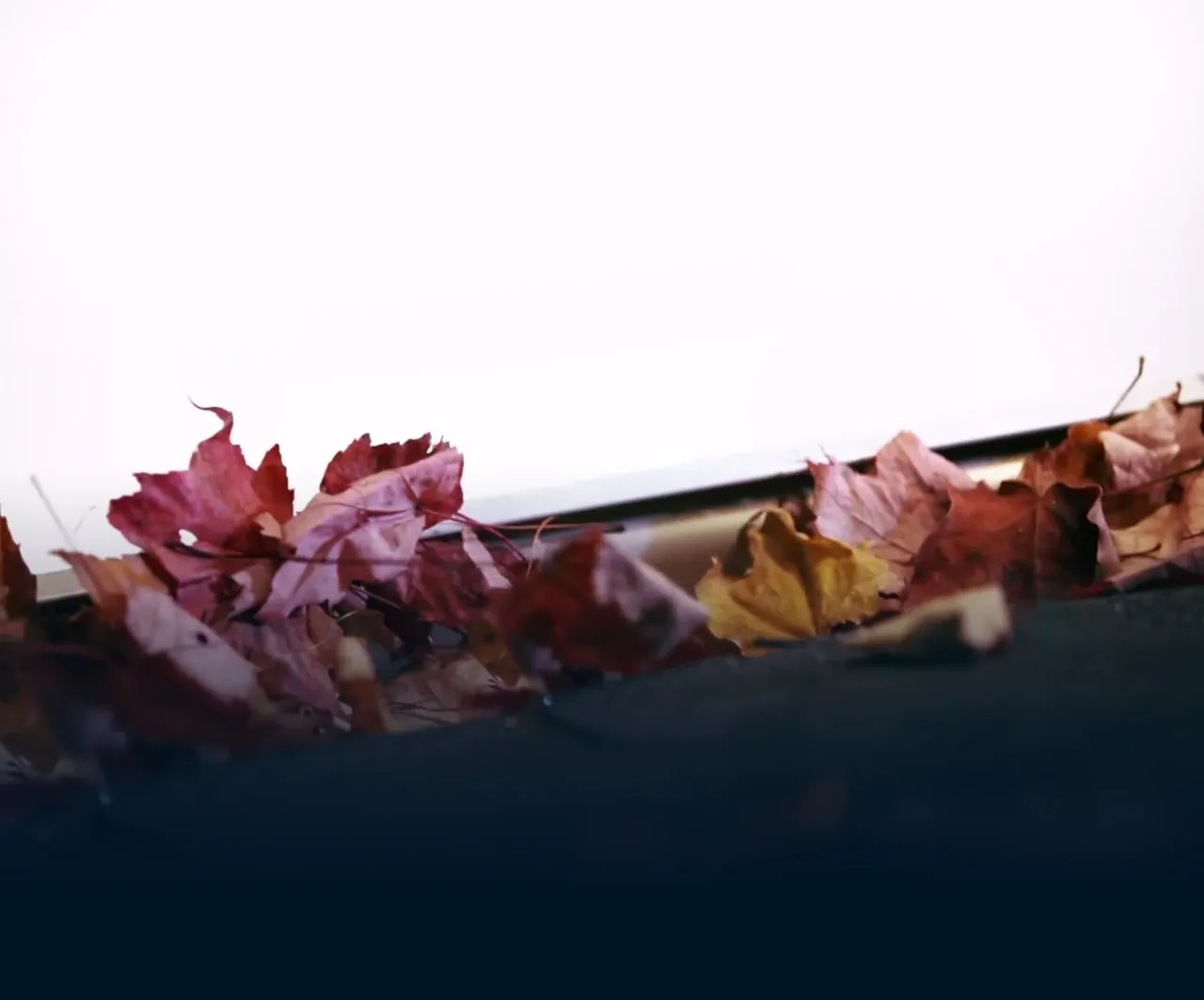 Autumn leaves kept out of the eavestrough